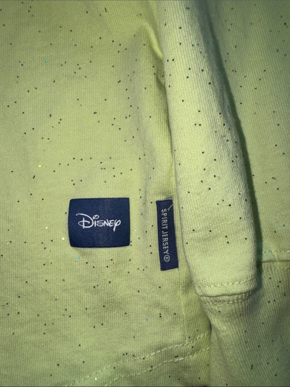 Disneyland Resort oversized Spirit Jersey with Glitter Tinker Bell Crest - Picture 4 of 5